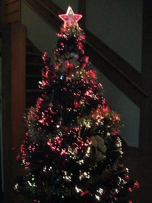 ・*:.。..。.:*・゚X’mas限定・*:.。..。.:*・_d0135908_1635068.jpg