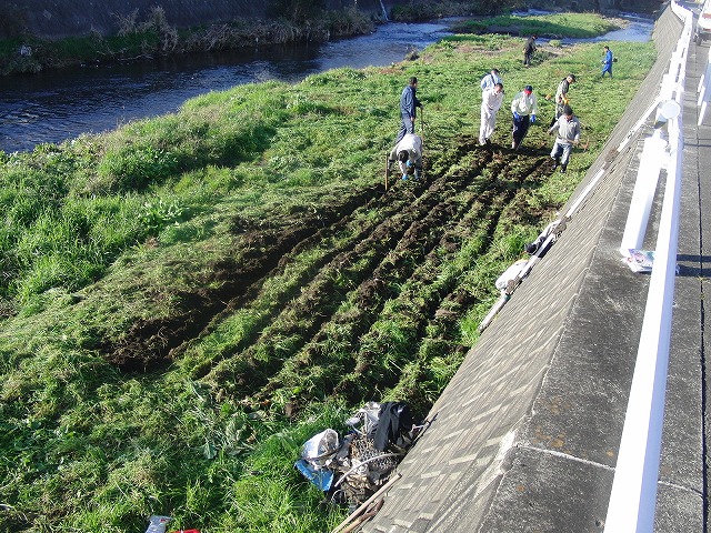 小潤井川の草刈り&ソバの種まき_f0141310_7451471.jpg
