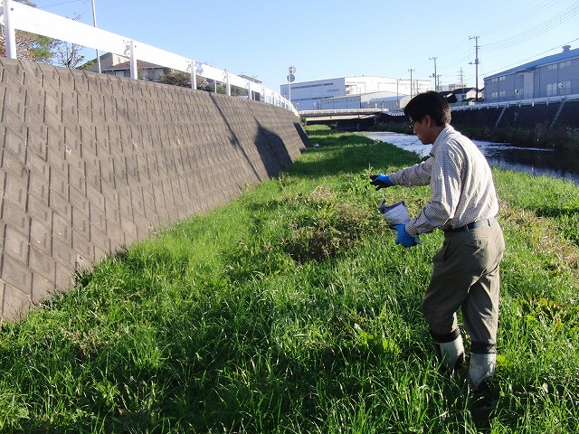 小潤井川の草刈り&ソバの種まき_f0141310_7461780.jpg