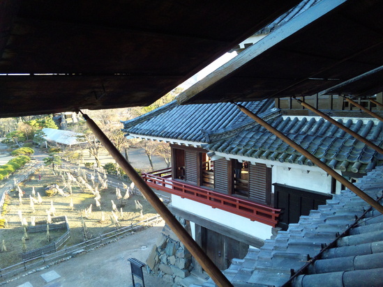 f0232910_8421080.jpg