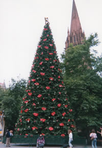 d0019913_2323101.jpg