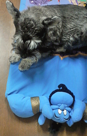e0020214_11251878.gif