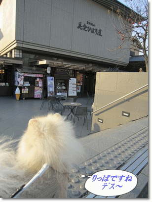 b0167519_13442461.gif