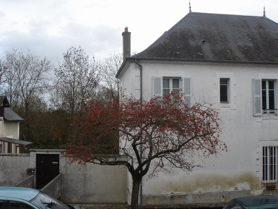 c0124619_8554353.jpg