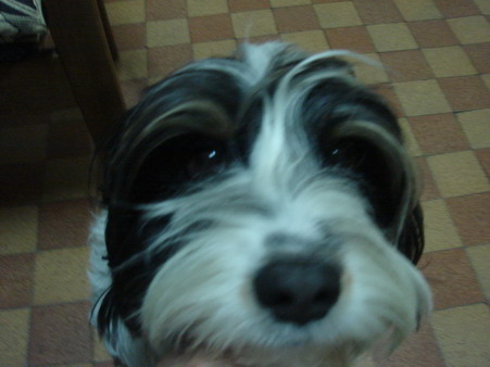 c0124619_9172528.jpg