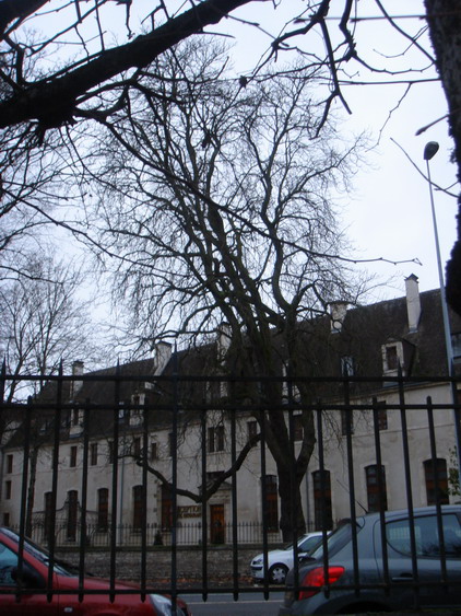 c0124619_91993.jpg