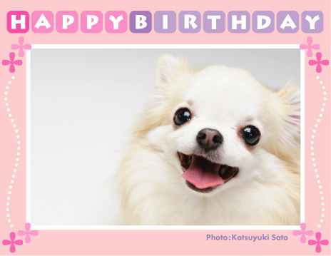 ソプラノちゃん、お誕生日おめでとう♪_d0102523_0534772.jpg