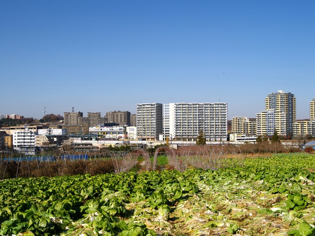 「全然あたらしい」駅_b0191026_1346567.jpg