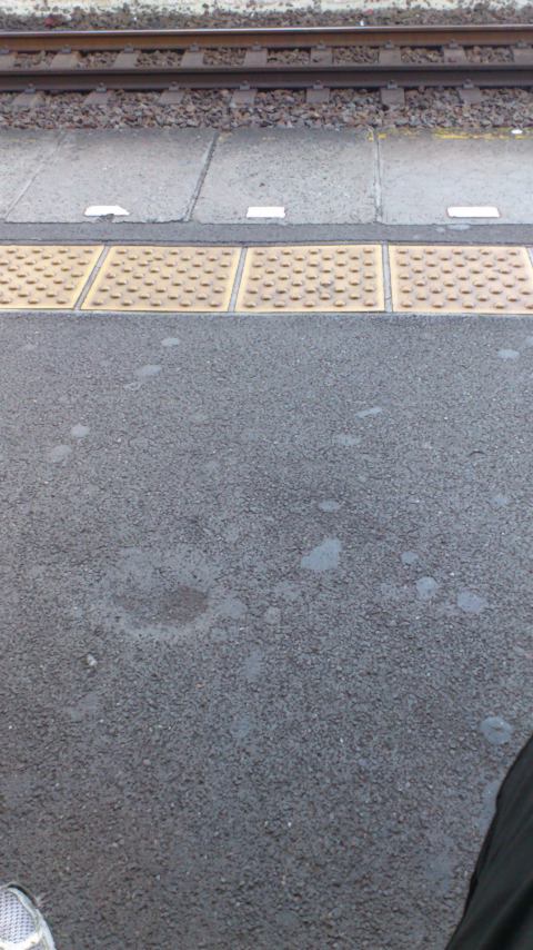 寝不足_a0116230_14581363.jpg