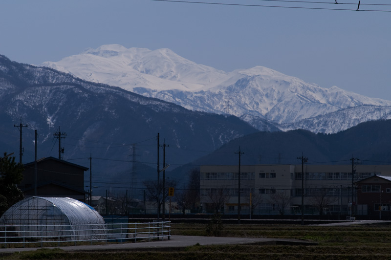 b0177233_5153897.jpg