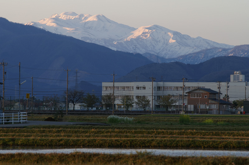 b0177233_5161517.jpg