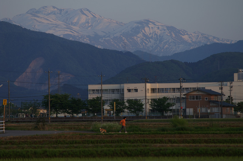 b0177233_5164767.jpg