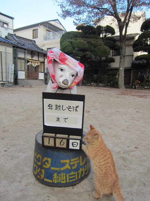 年越しそばまで あと 16日_b0197533_16222875.jpg