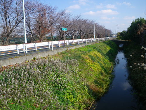 d0252642_21323833.jpg