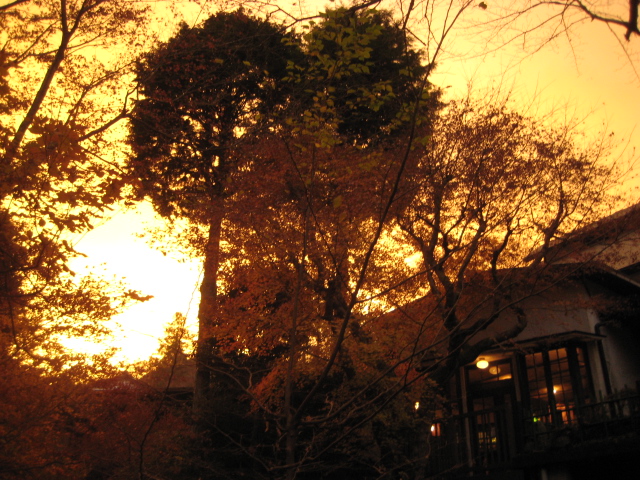 f0172342_1715026.jpg