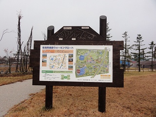 カモが越冬しています_a0084753_13131677.jpg