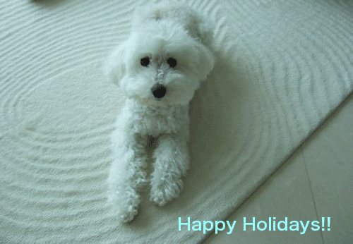 f0190653_1252417.gif