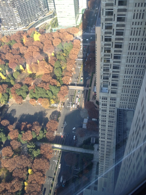 e0171455_10432068.jpg