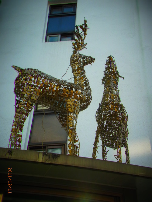 e0229059_9592172.jpg