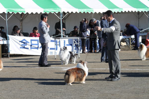 特別展_f0126965_23552899.jpg