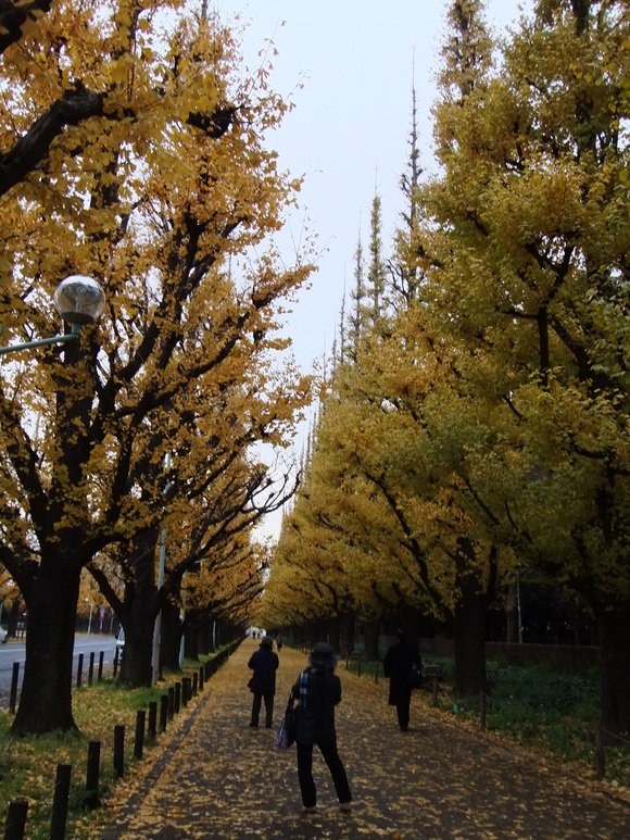 f0144970_82937.jpg