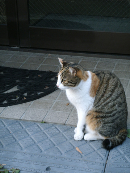 e0112077_7101579.jpg