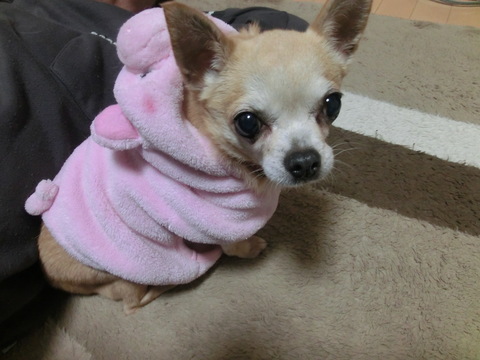 d0227686_0204032.jpg