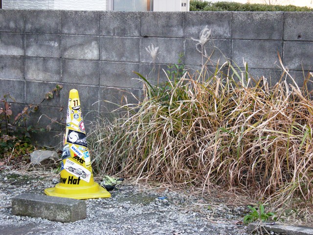 f0063887_10332916.jpg