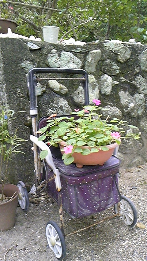 e0220493_03348.jpg