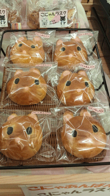 こなんマルシェ【滋賀の素敵なお店】_c0093196_10472058.gif