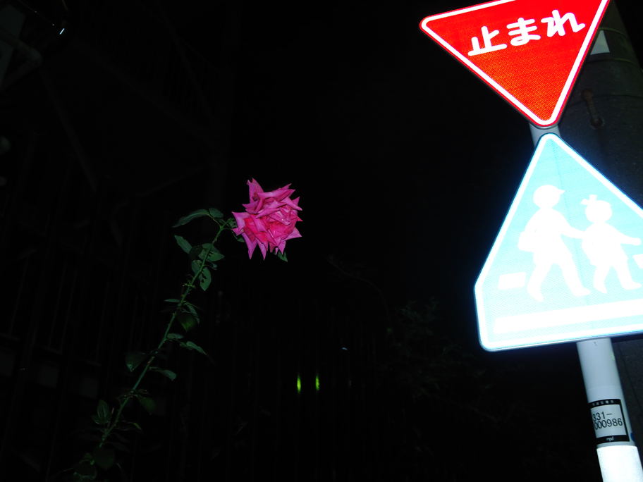 b0179698_21572219.jpg