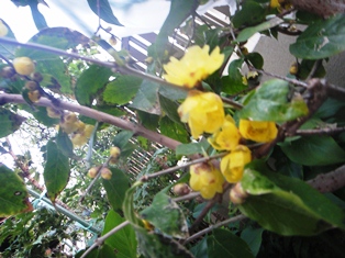 e0143298_20112077.jpg
