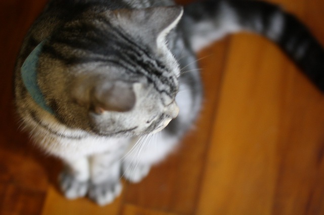 c0187403_1594941.jpg