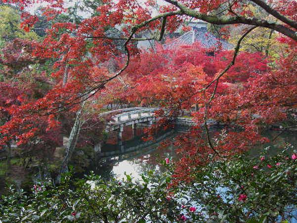 秋の京都　紅葉の寺　その3_d0154609_10371735.jpg