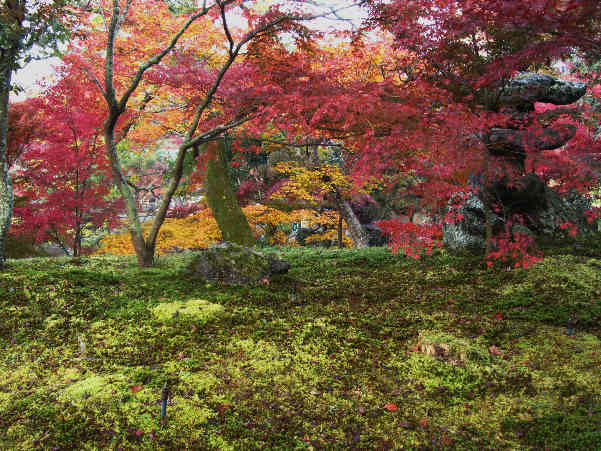 秋の京都　紅葉の寺　その3_d0154609_104624.jpg