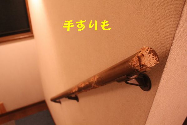 d0224111_2125779.jpg