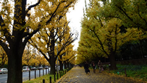 d0019913_544930.jpg