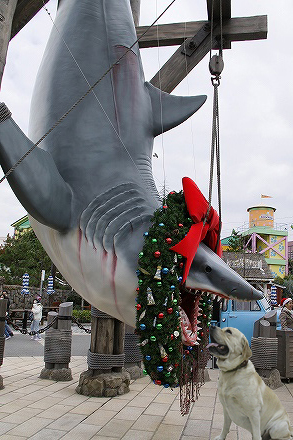 f0191413_1911553.jpg