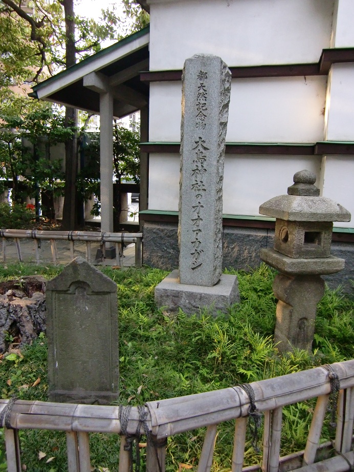 大鳥神社（東京都目黒区）_c0219820_19463545.jpg