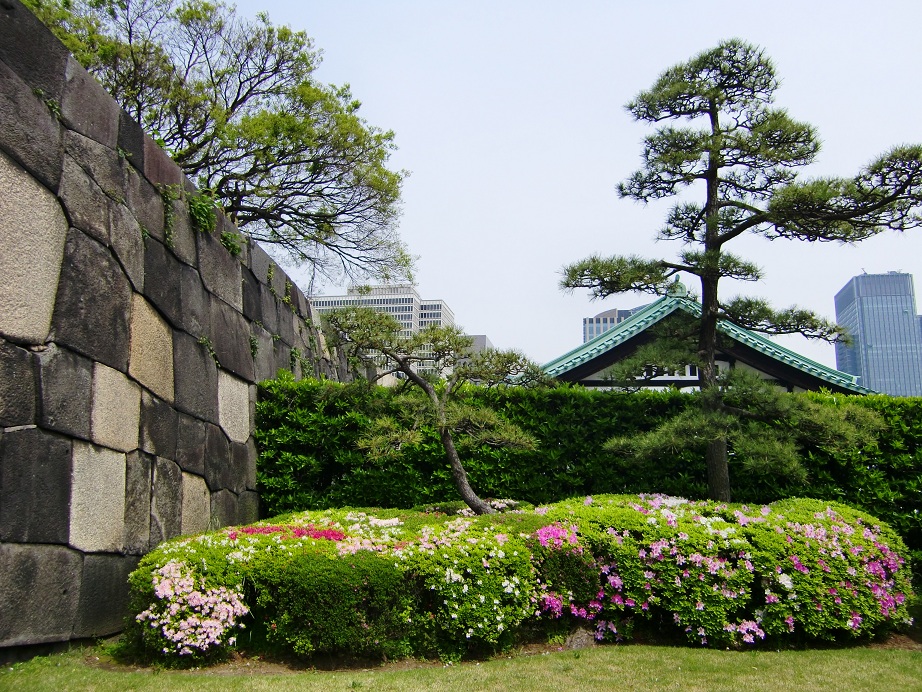 皇居東御苑（東京都千代田区）_c0219820_21395876.jpg