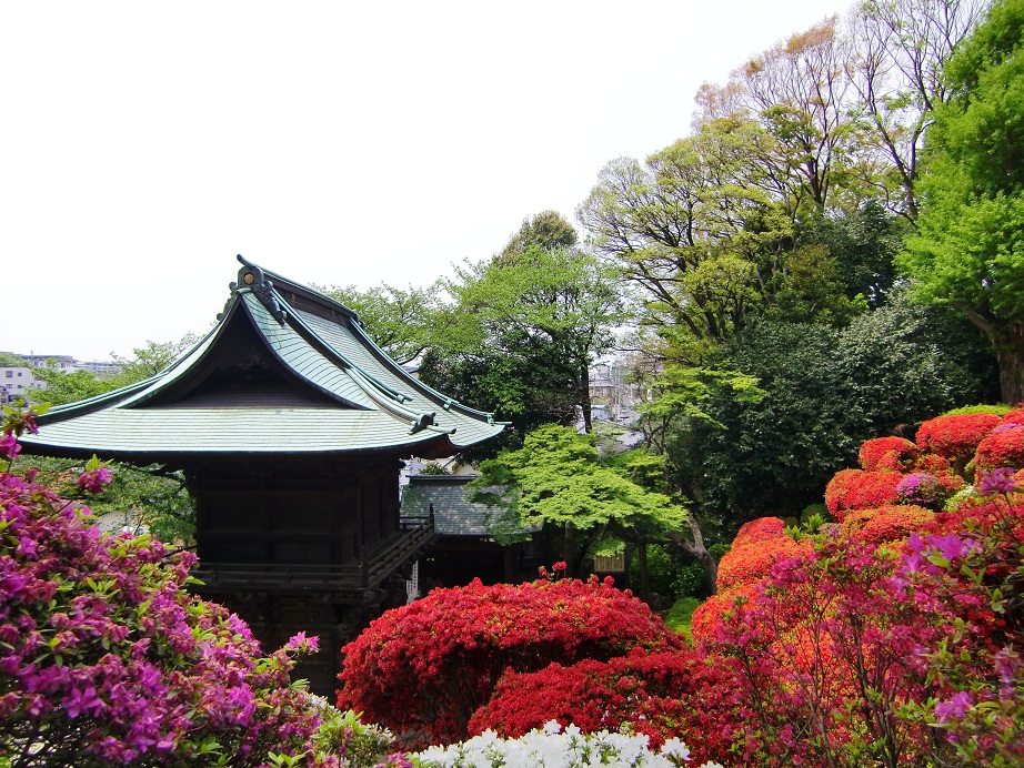 神木山等覚院（神奈川県川崎市）_c0219820_21491396.jpg