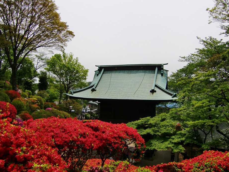 神木山等覚院（神奈川県川崎市）_c0219820_2149646.jpg