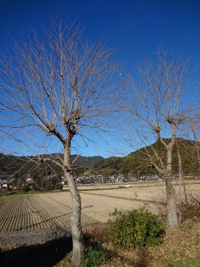 a0232921_2111174.jpg