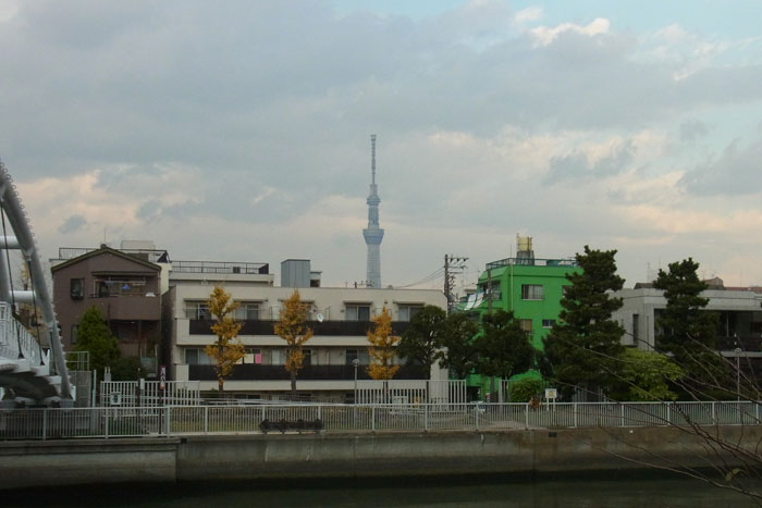 f0067724_4174541.jpg