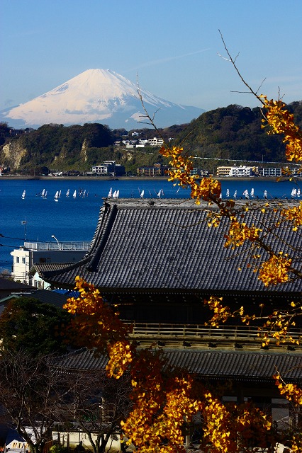 師走 鎌倉2011　～光明寺2～_d0085025_12363631.jpg