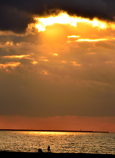 e0055138_8474857.jpg