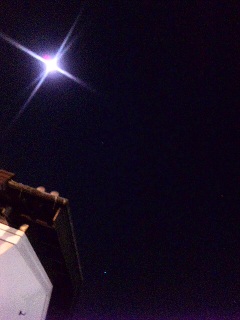 流れ星の効き目_a0103940_4322365.jpg