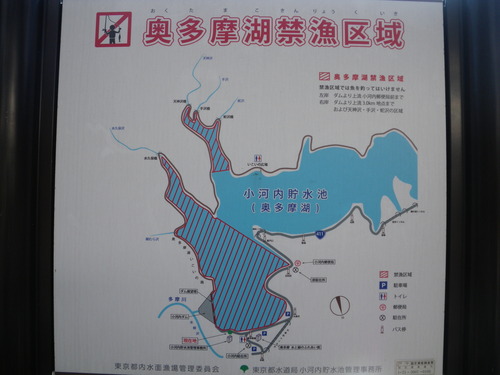 d0252642_2352368.jpg