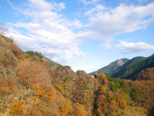 d0252642_23532859.jpg