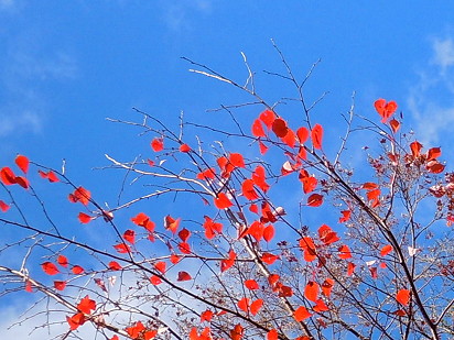 e0028446_238564.jpg